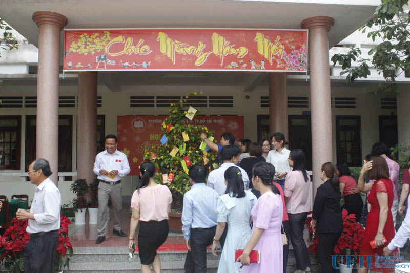 cá cược thể thao hul city